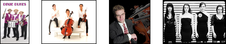 Strings and Foyer Music Artists