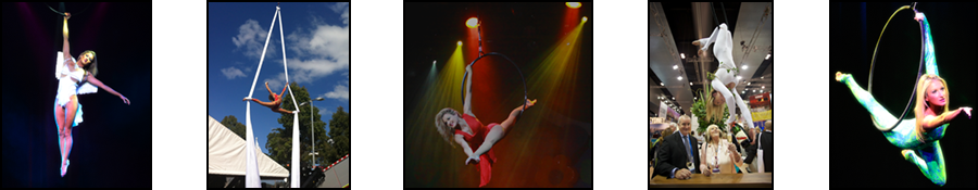 Aerial Artist - Elise