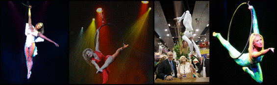 Aerial Artist - Elise